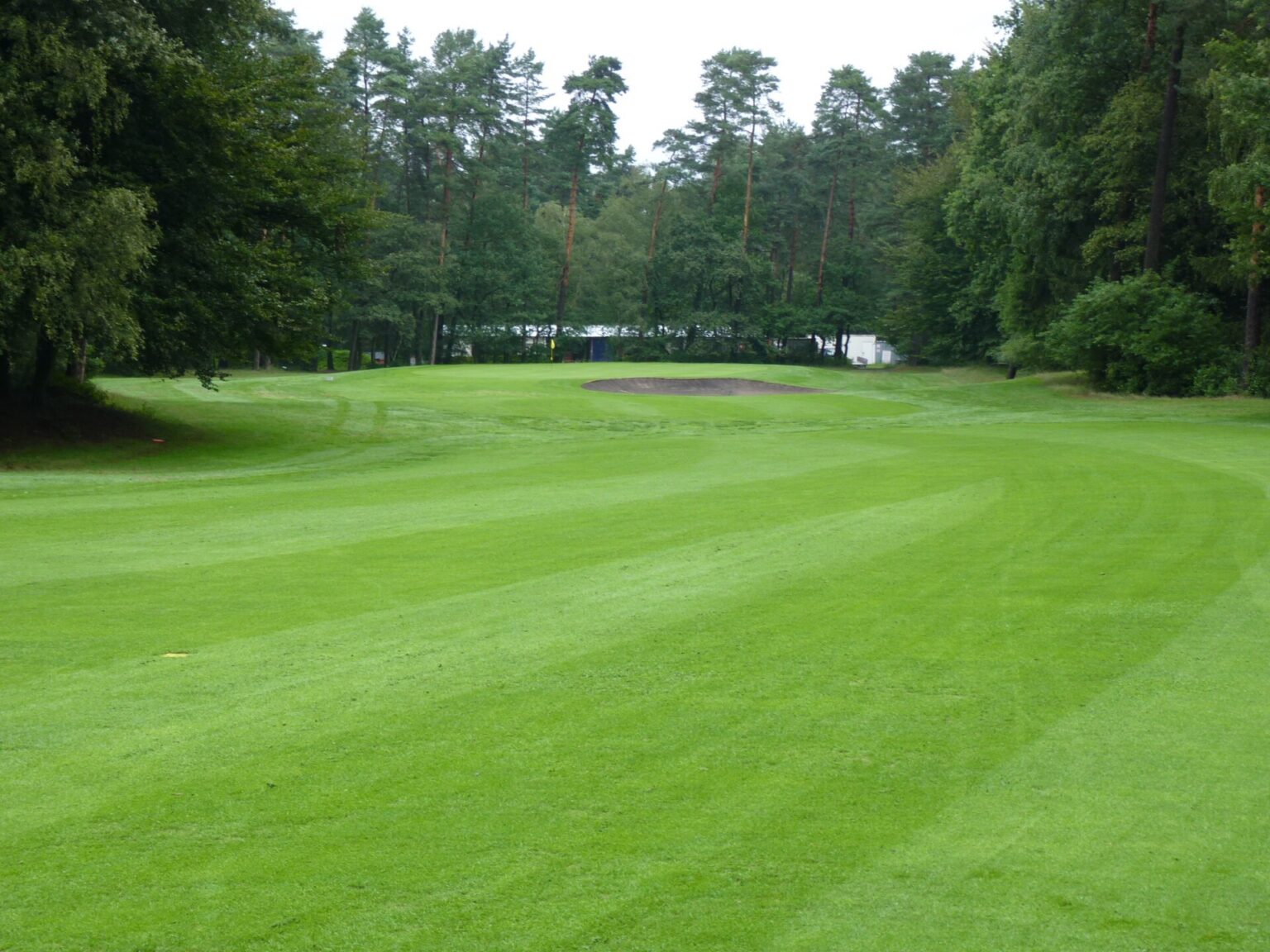 Golf Merkezi